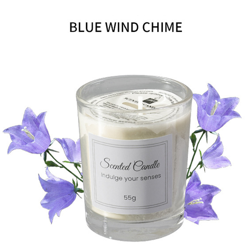 1pcs Premium Aromatherapy Cand - Soy Wax review and price